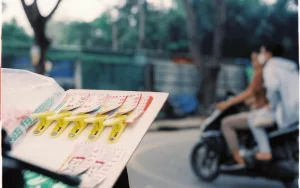 Bhutan State Lottery